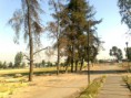/album/fotogaleria/imagen0662-jpg/